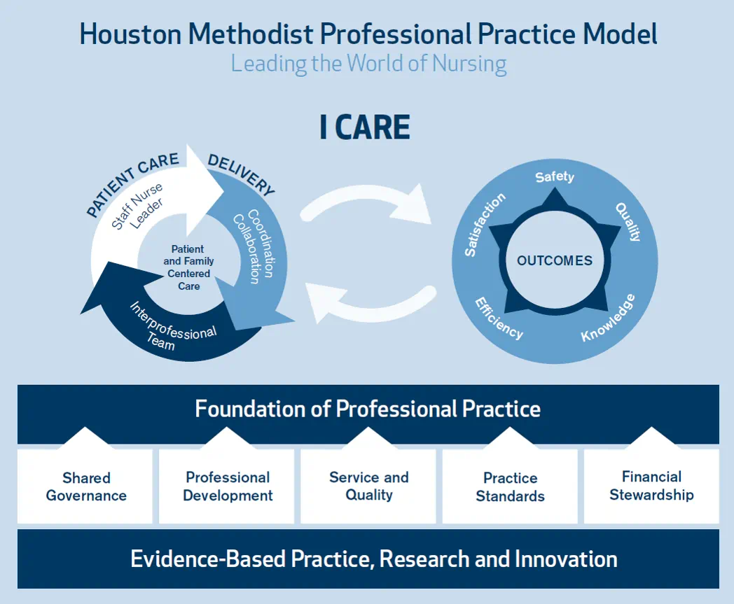 Professional Practice Model.webp